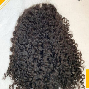 Burmese Curly Closure Wig-HD Lace