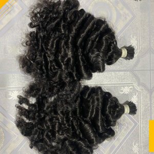 Burmese Curly I _Tip - Natural Color